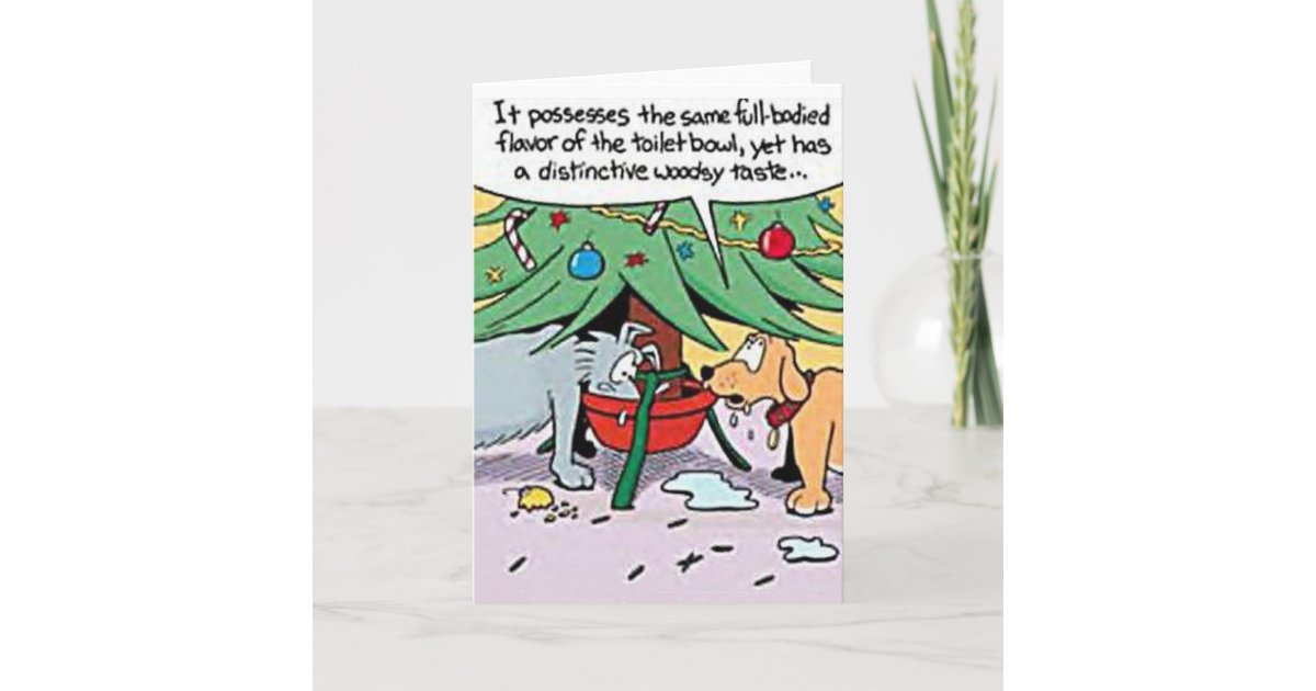 What Do You Do If Your Dog Drinks Christmas Tree Water