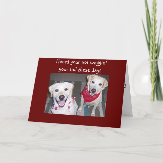 DOGS ENCOURAGES GETTING WELL CARD (Front)