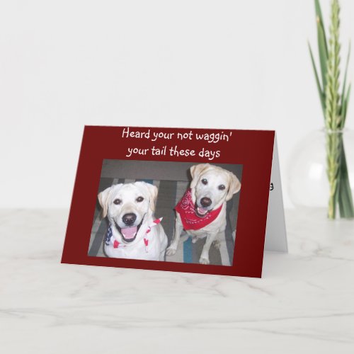 DOGS ENCOURAGES GETTING WELL CARD