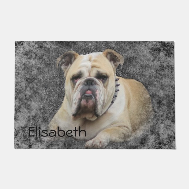 Dogs, english bulldogge, grim looking  doormat (Front)