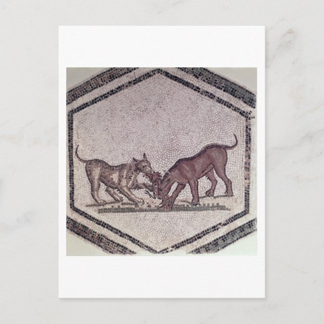 Dogs Fighting for a Bird, Roman, 2nd-3rd century ( Postcard (Front)