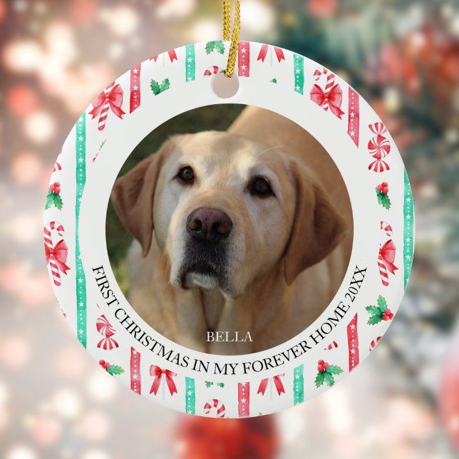 Dog's First Christmas in Forever Home 2 Photo Ceramic Ornament (Dog's First Christmas in Forever Home 2 Photo Ceramic Ornament)