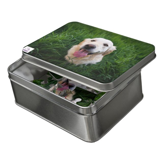 ‘Dogs for the Disabled puzzle (Lid Open)
