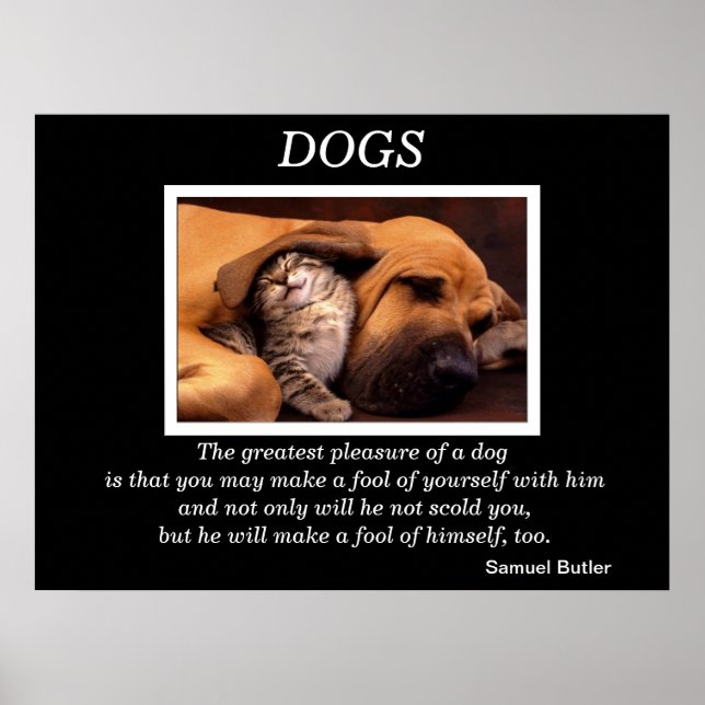 DOGS: Gentle Giants, Tiny Friends Poster (Front)