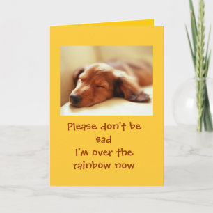 Dogs Going Over the Rainbow Letterpress Thank You Card