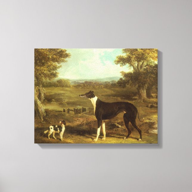 Dogs, Greyhound and Spaniel, Doctor Fop by Herring Canvas Print (Front)