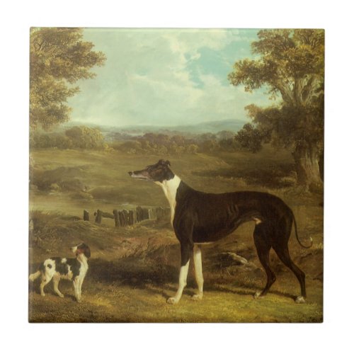 Dogs Greyhound and Spaniel Doctor Fop by Herring Ceramic Tile