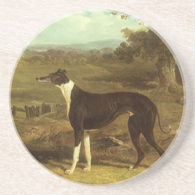 Dogs, Greyhound and Spaniel, Doctor Fop by Herring Drink Coaster (Front)