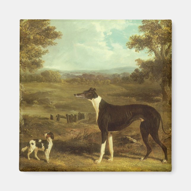 Dogs, Greyhound and Spaniel, Doctor Fop by Herring Magnet (Front)