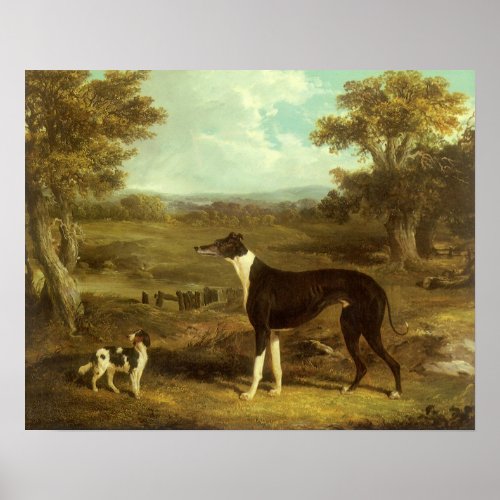 Dogs Greyhound and Spaniel Doctor Fop by Herring Poster