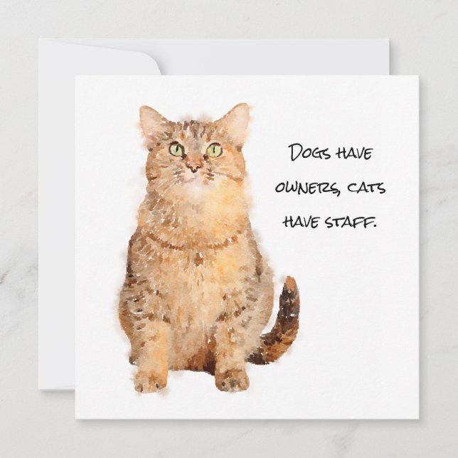Dogs have owners, cats have staff flat card (Front)