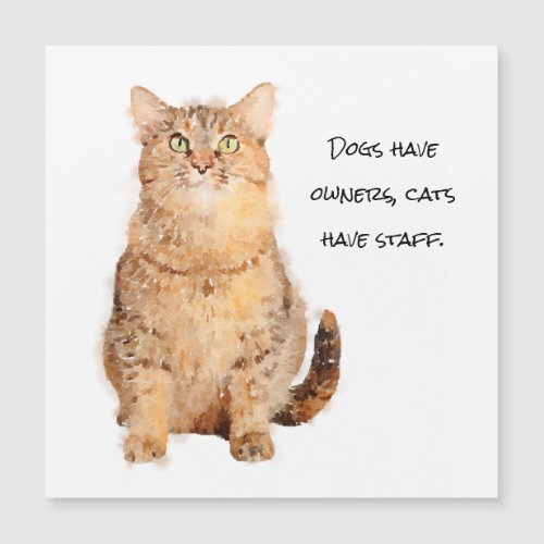 Dogs have owners cats have staff magnetic card