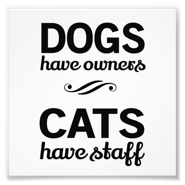 Dogs Have Owners, Cats Have Staff Photo Print (Front)