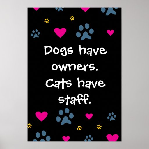 Dogs Have Owners-Cats Have Staff Posters | Zazzle