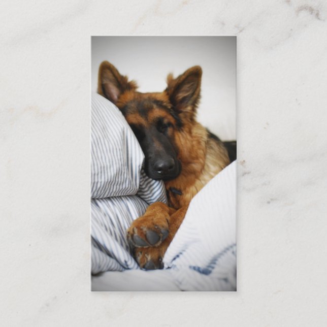 Dogs Hotel Business Card (Front)