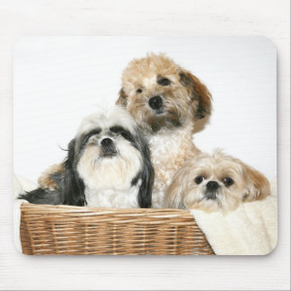 Dogs in a basket mouse pad