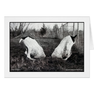 Dogs in a Hole Cards