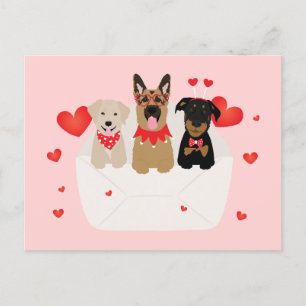 Dogs In Envelope Love Postcard