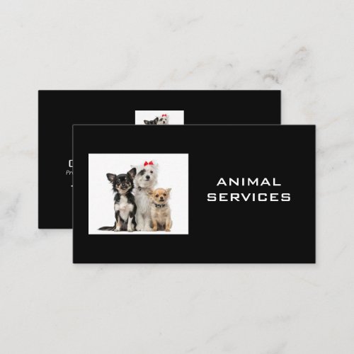Dogs in Group Business Card