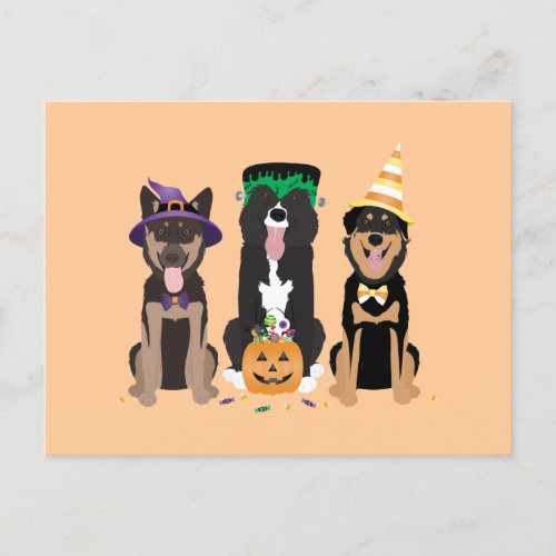 Dogs In Halloween Costumes  Postcard