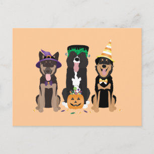 Dogs In Halloween Costumes Postcard
