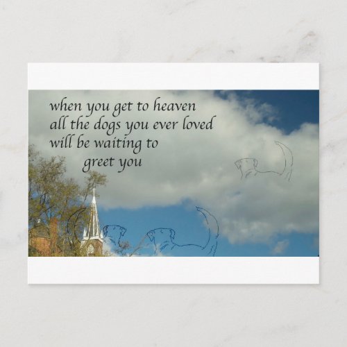 Dogs in Heaven Postcard