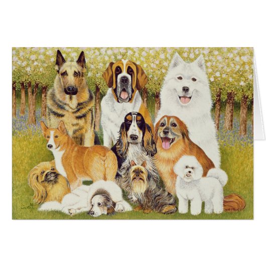 Dogs in May Cards (Front Horizontal)