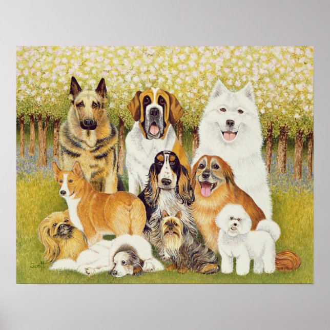 Dogs in May Poster (Front)