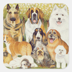 Dogs in May Square Sticker