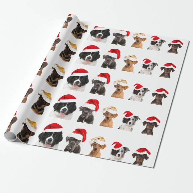 Dogs in Santa hat Wrapping Paper for Christmas (Unrolled)