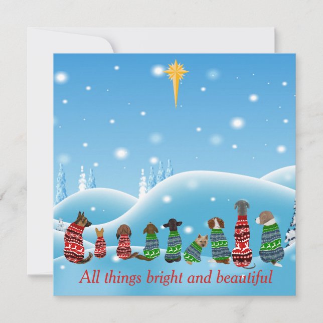 Dogs in Sweaters Religious Star All Things Animals Holiday Card (Front)