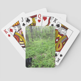 Dogs in the Woods Poker Cards