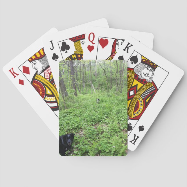 Dogs in the Woods Poker Cards (Back)