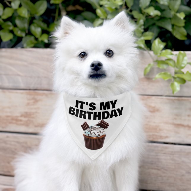 Dogs "it's my birthday" cupcake celebration medium pet bandana collar (Dog)