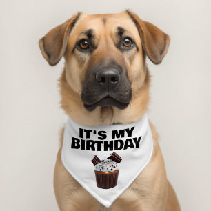 Dogs "it's my birthday" cupcake celebration pet bandana collar