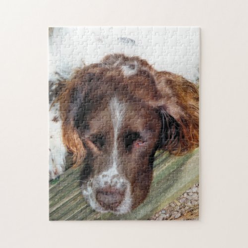 DOGS JIGSAW PUZZLE