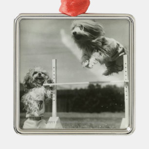 Dogs jumping over miniature high jump bar metal ornament