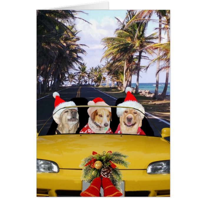 Dogs/Labs in Convertible w/Santa Hats Cards