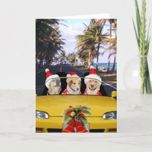 Dogs/Labs in Convertible w/Santa Hats Holiday Card