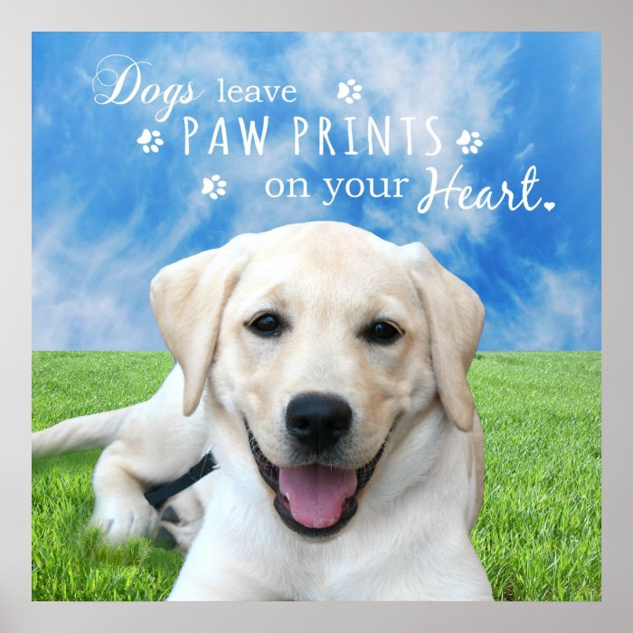 Dogs leave paw prints on your heart