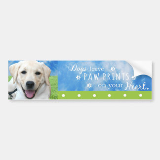 Dogs leave paw prints on your heart bumper sticker