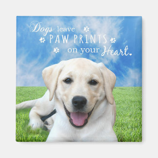 Dogs leave paw prints on your heart magnet