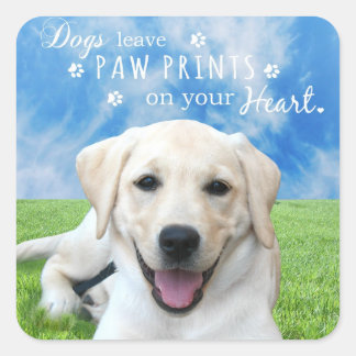 Dogs leave paw prints on your heart square sticker