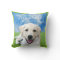 Dogs leave paw prints on your heart