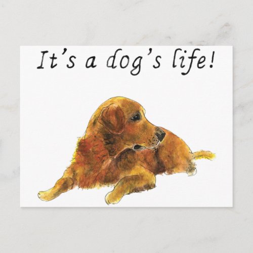 Dogs Life Cute Golden Retriever Watercolour Art Postcard