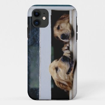 Dogs Looking Out A Window Iphone 11 Case by prophoto at Zazzle