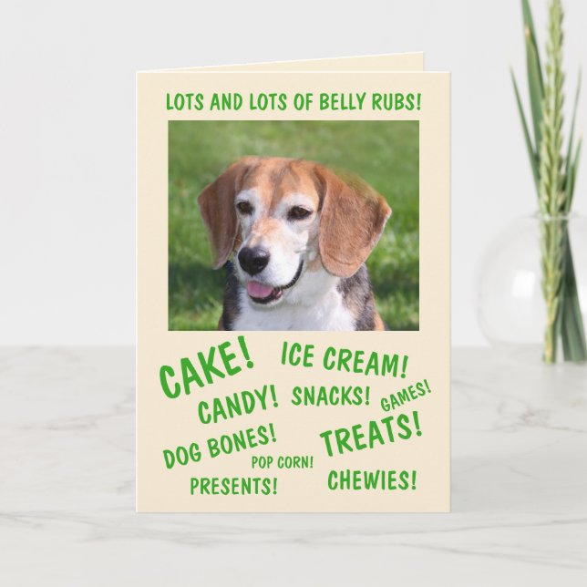 Dogs Love Parties Birthday Card (Front)