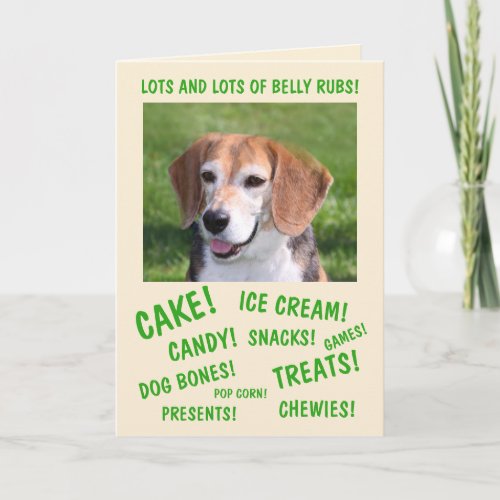 Dogs Love Parties Birthday Card