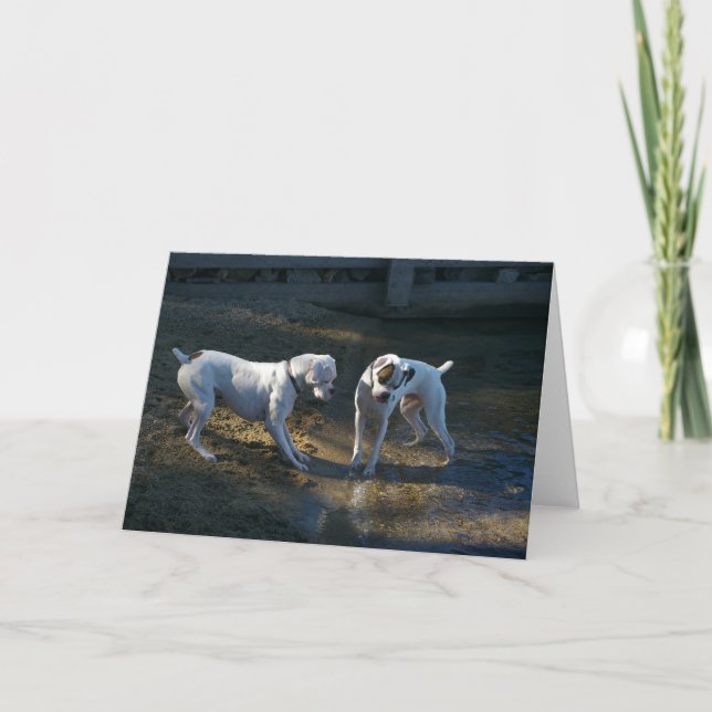 Dogs Meet Their First Wave Card (Front)