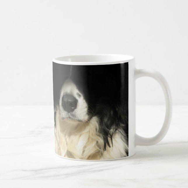 Dog's nose close up mug (Right)